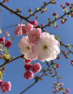 ���O���I